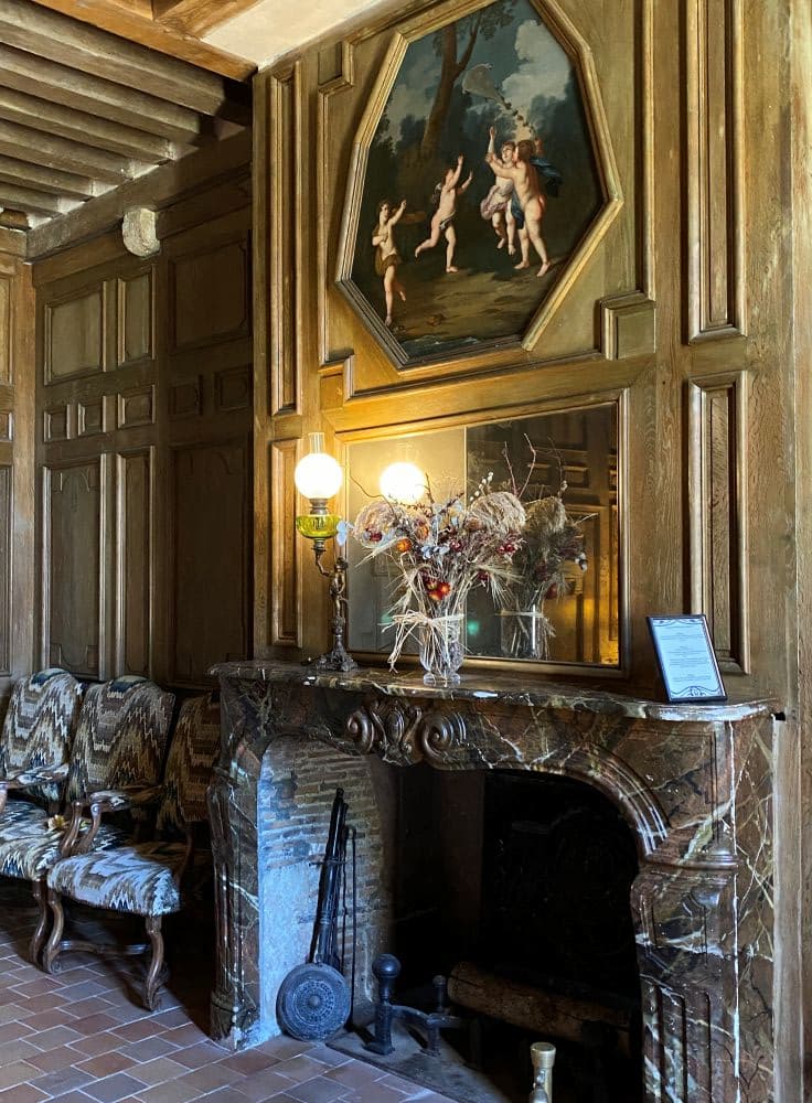 Val de Loire Château de Talcy cheminée