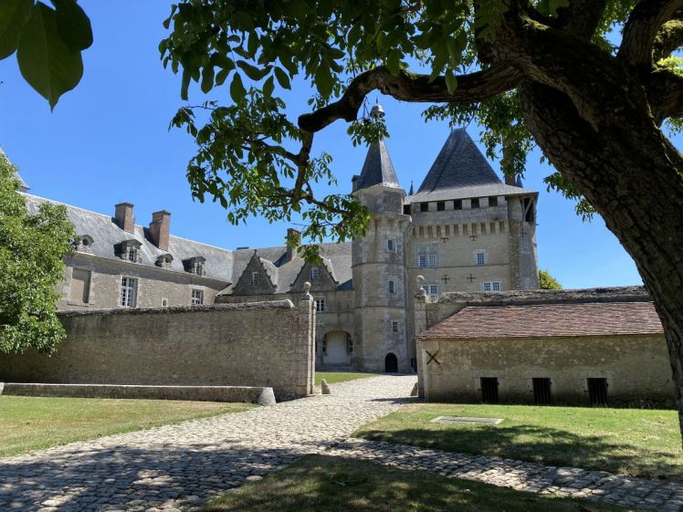 Château de la Loire de Talcy vu du parc
