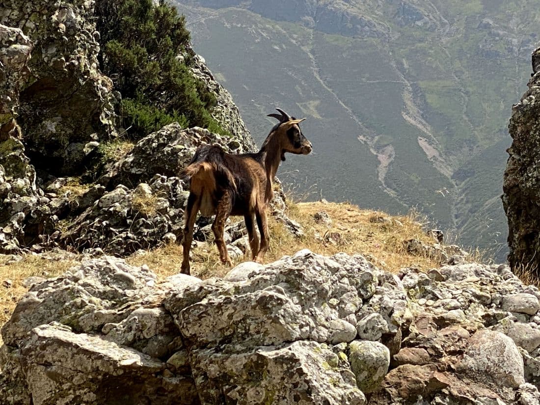 Espagne Parc des Pics d'Europe mirador de Llesba