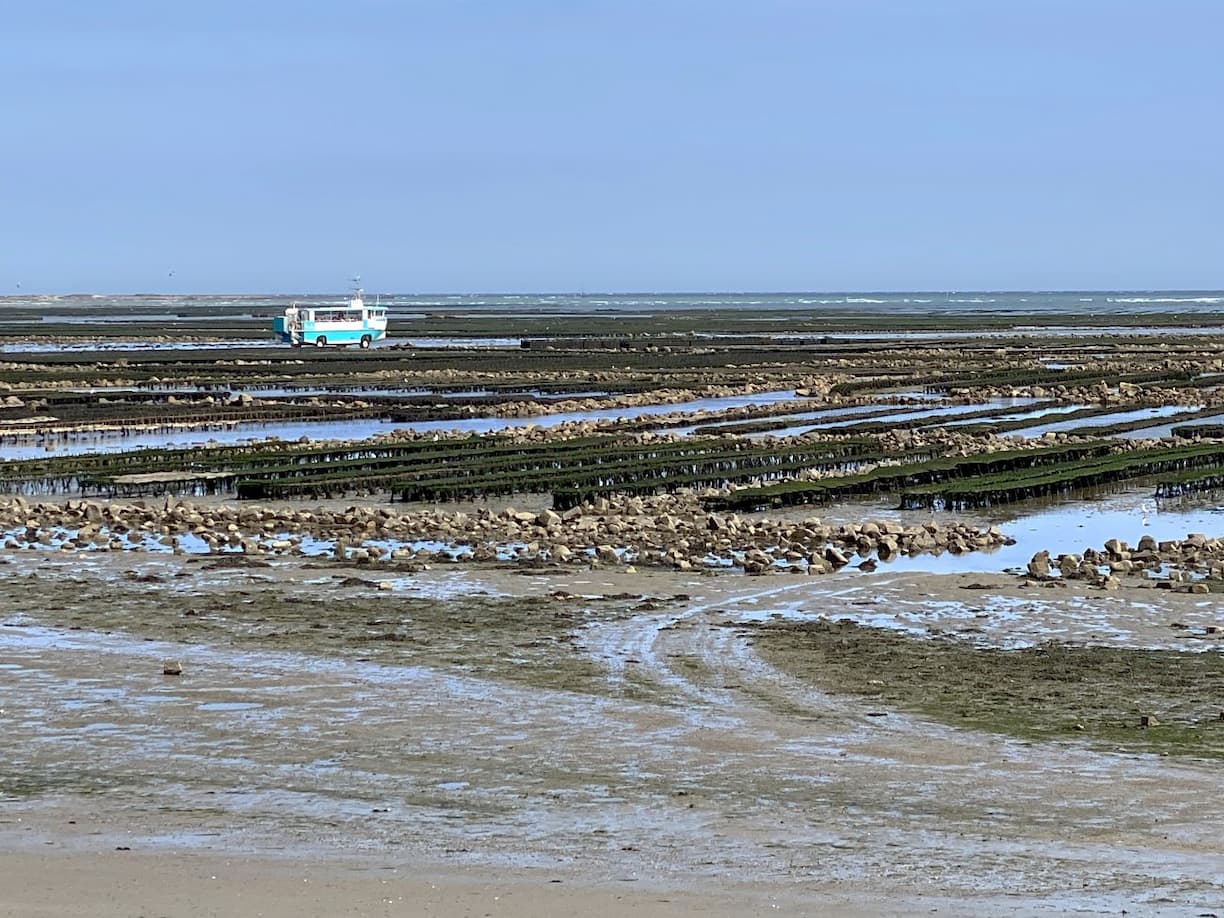 Le bateau à roues traverse les parcs à huîtres de Saint-Vaast-la-Hougue Manche