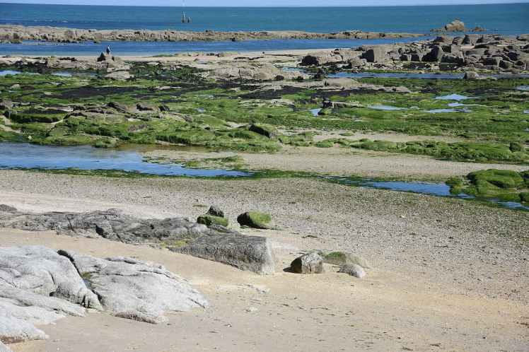 Normandie : pointe de Saire