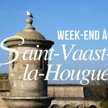 Saint-Vaast-la-Hougue : mouette posée sur une tourelle du fort Vauban