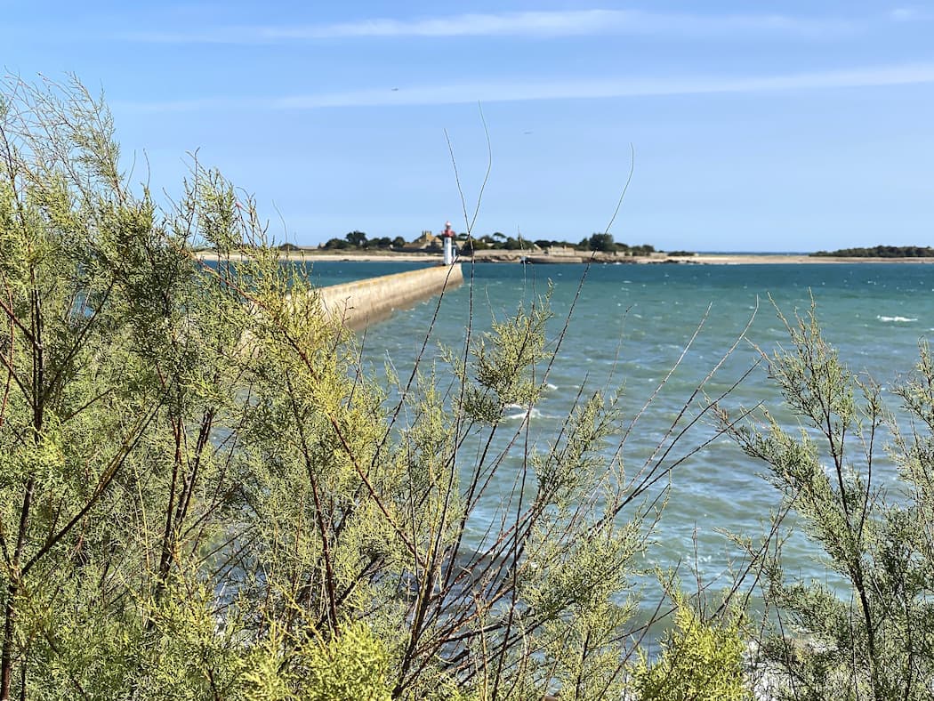 Vue sur le phare de Saint-Vaast-la-Hougue et l'île de Tatihou