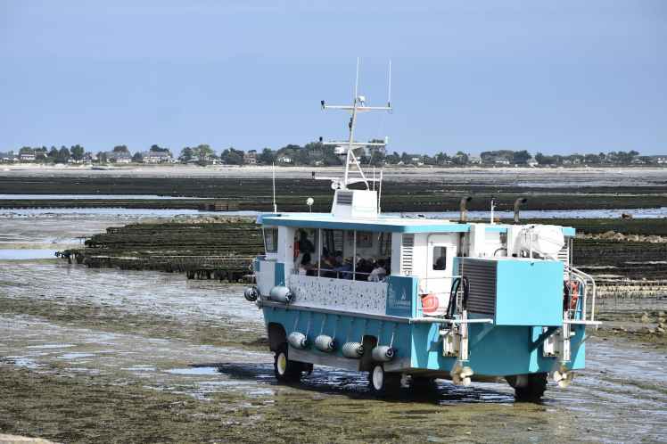Bateau amphibie Tatihou III reliant Saint-Vaast-la-Hougue à Tatihou