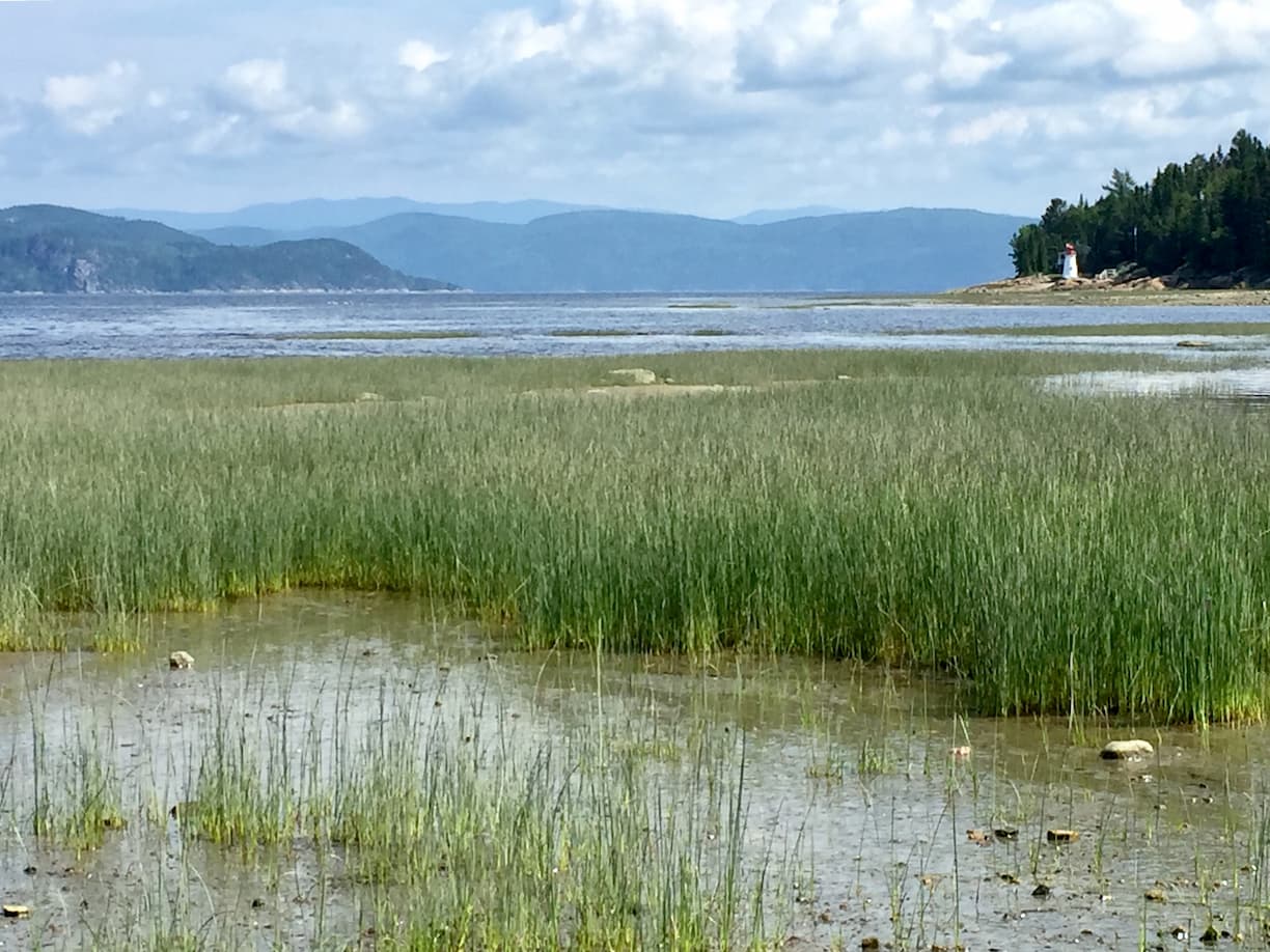 Eux paisibles du Saguenay au Québec