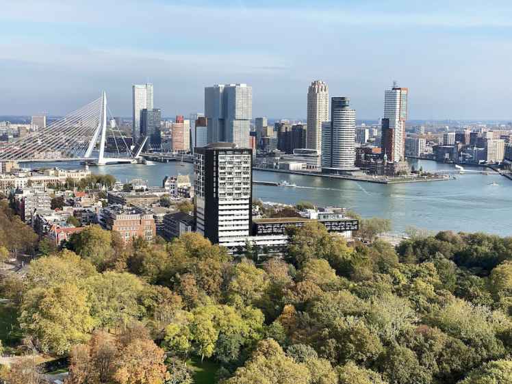 Vue panoramique sur Rotterdam depuis la tour d'observation Euromast