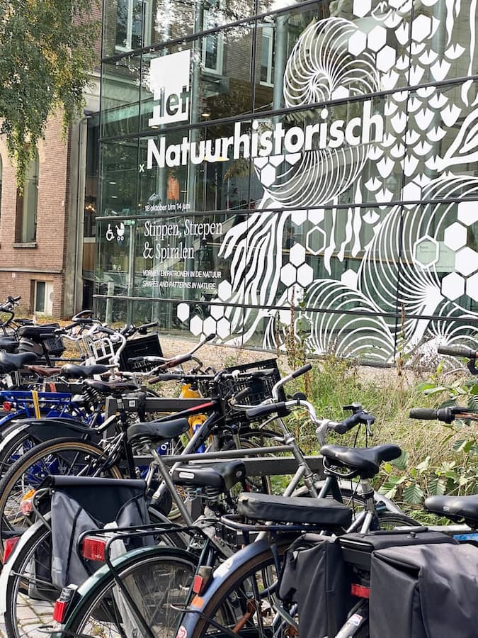 Rotterdam musée d'histoire naturelle