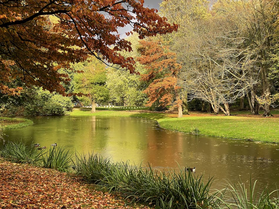 Couleur d'automne dans le Het Park