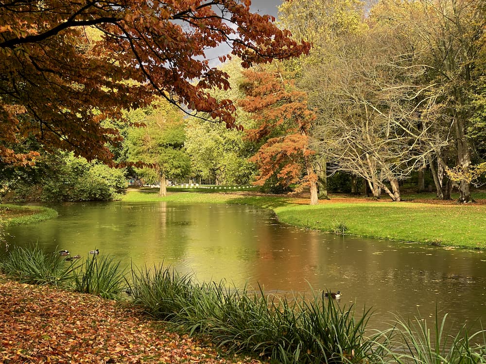 Het Park de Rotterdam 
