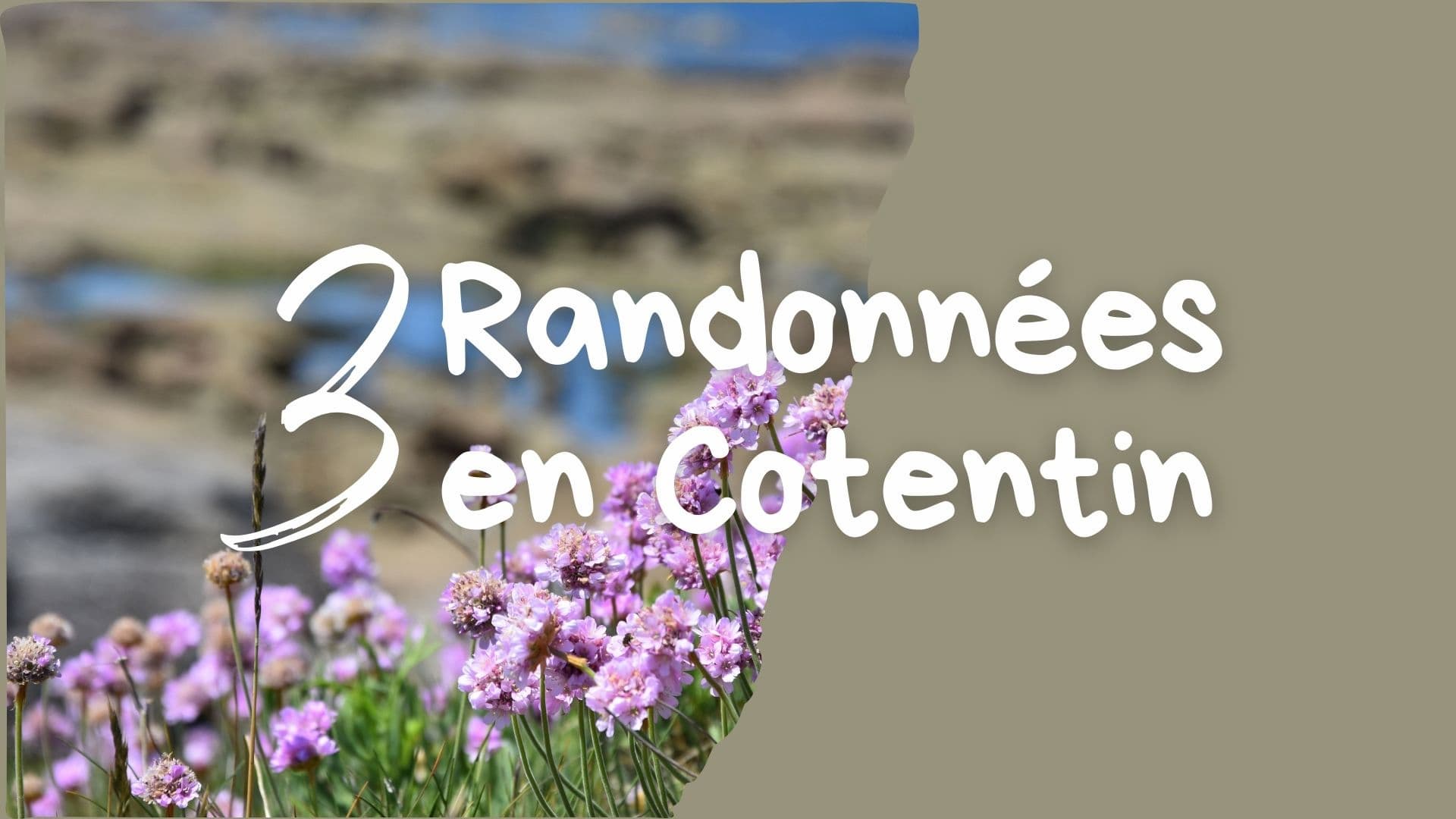 Normandie : randonnée dna sla Cotentin