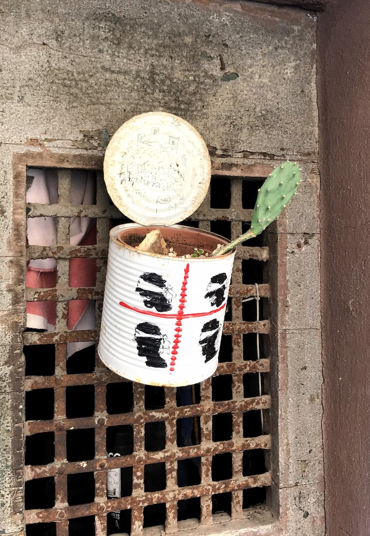 Sardaigne : cactus dans une boite de conserve à Bosa