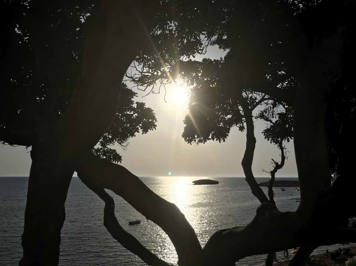 Sardaigne : soirée à Cuglieri