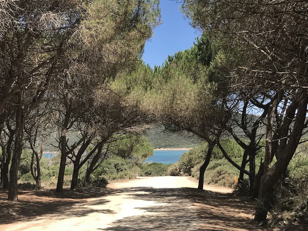 Sardaigne : spiaggia Mugoni au nord d'Alghero