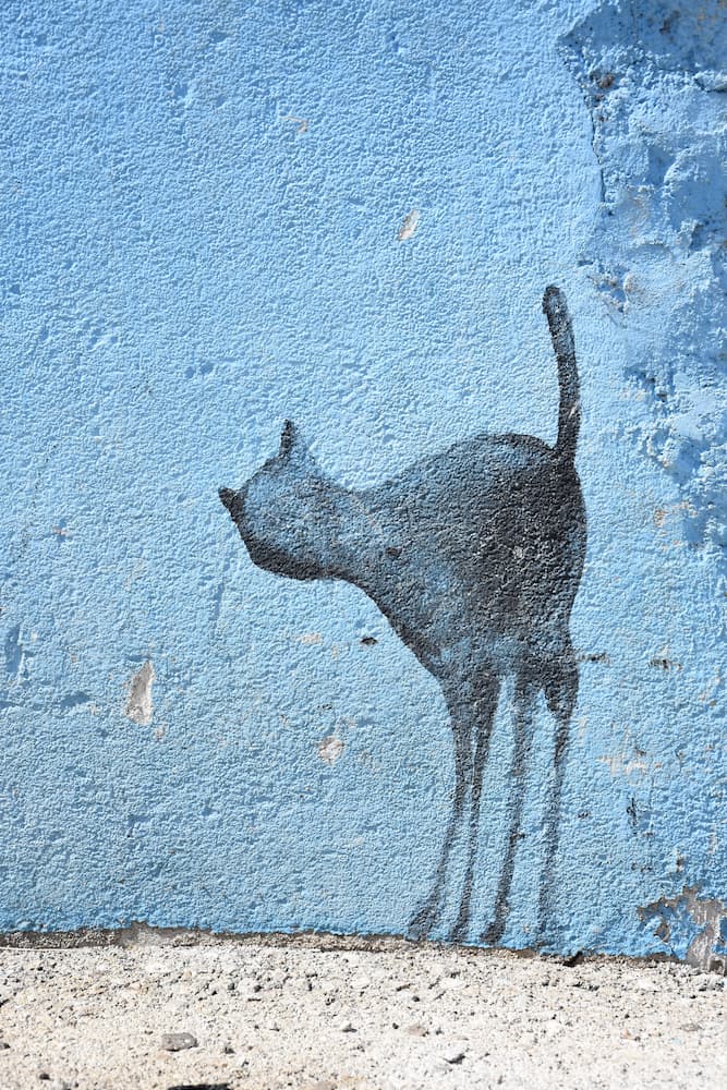 Street art à Split en Croatie