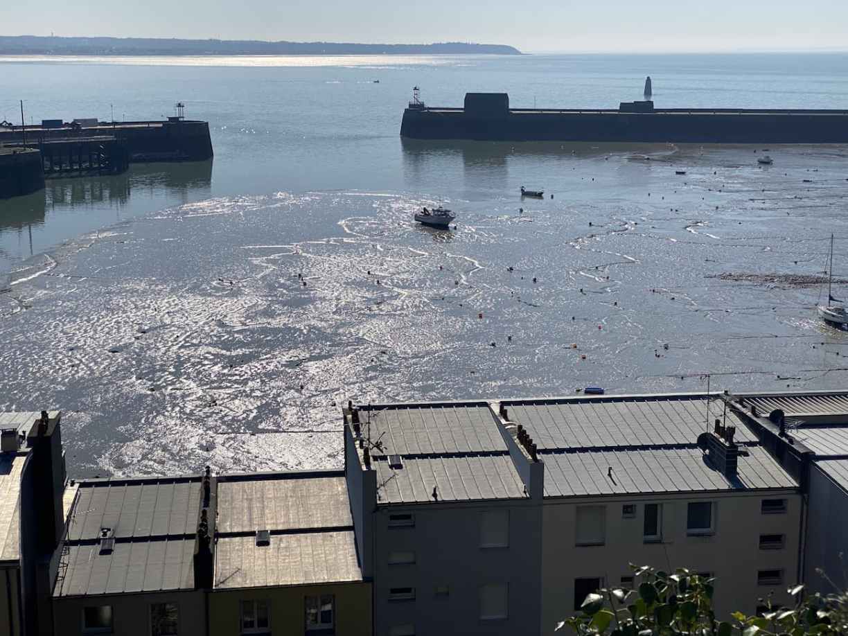 Panorama sur le port de Granville dans la Manche