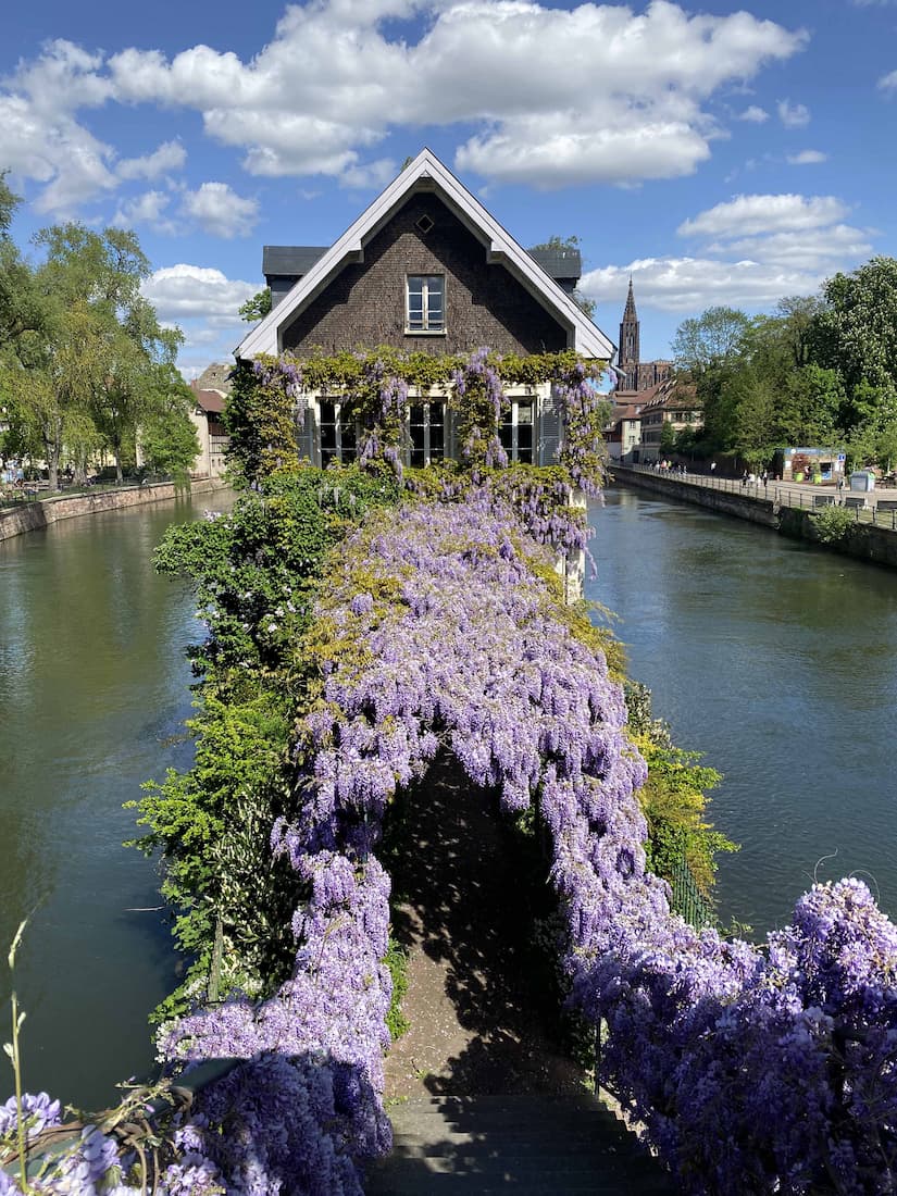 Strasbourg : maison entre les canaux de Petite France