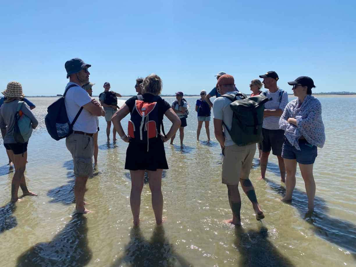 Traversée des grèves du Mont-Saint-Michel avec un guide
