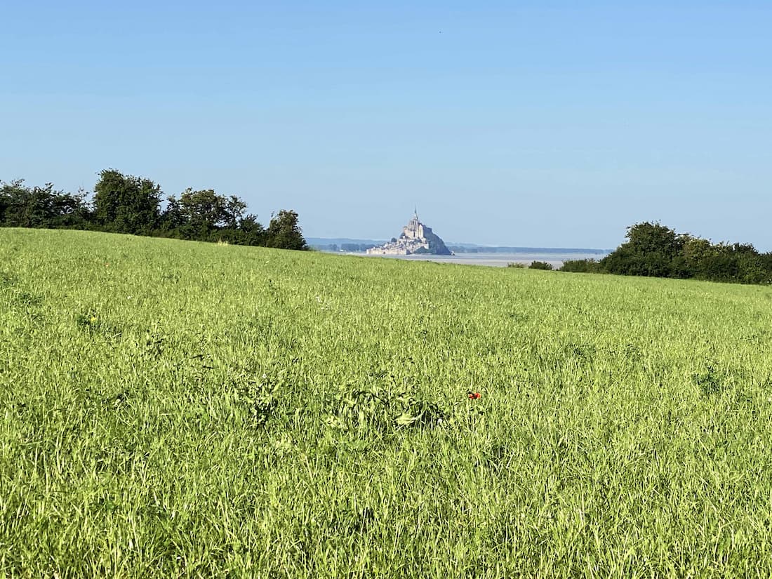 Le Mont-Saint-Michel vu du Grouin du Sud