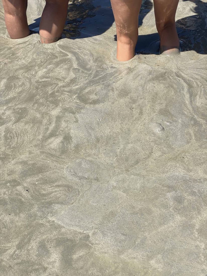Touristes expérimentant les sables mouvants dans la baie du Mont-Saint-Michel