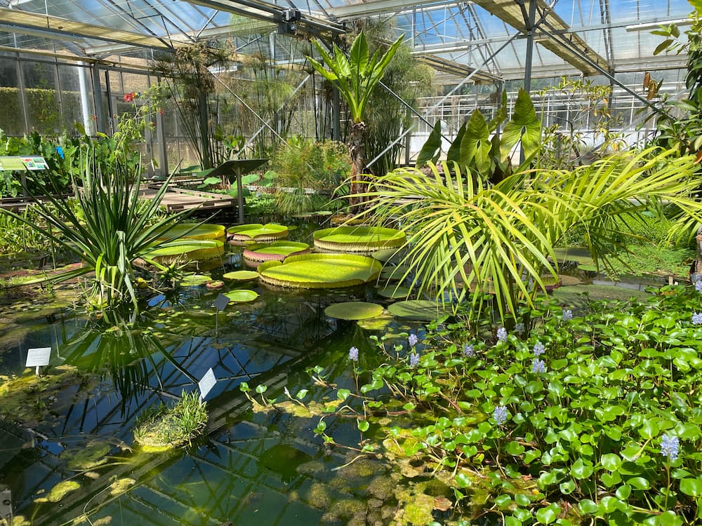Les serres des Jardins suspendus du Havre