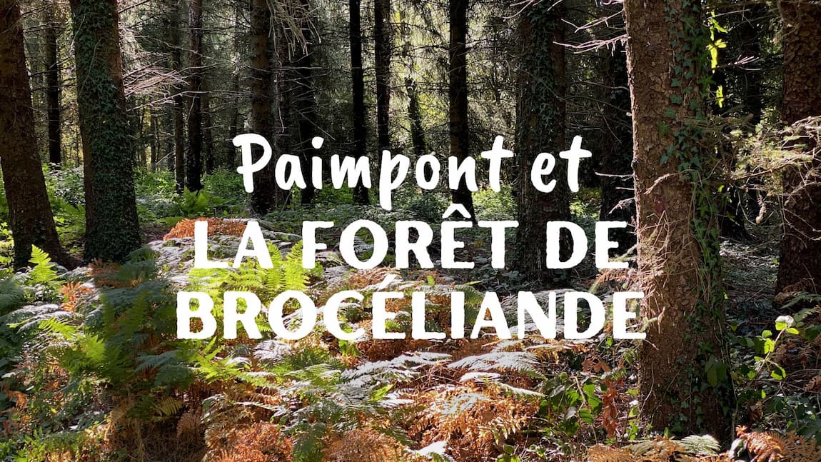 Forêt de Brocéliande en Bretagne, célèbre pour ses paysages boisés et ses légendes arthuriennes