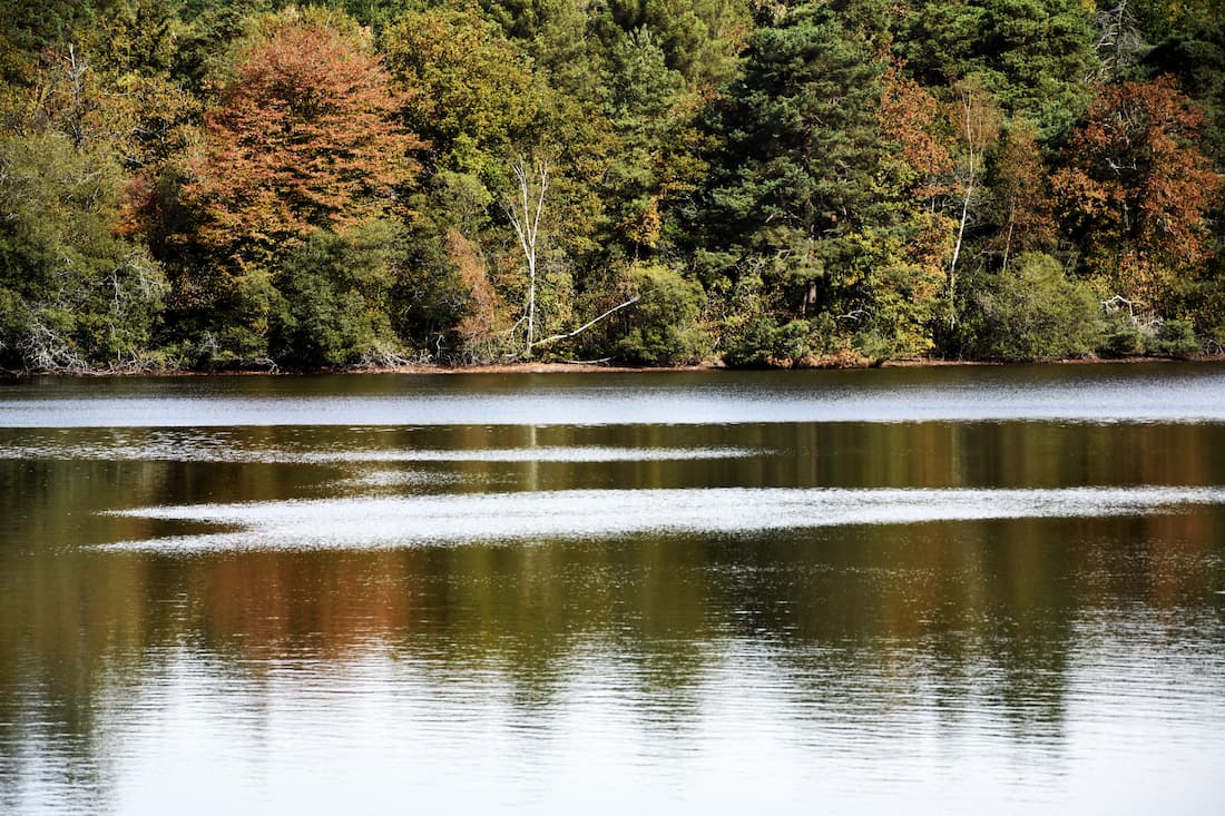 Lac de Comper à l’orée de la forêt de Brocéliande