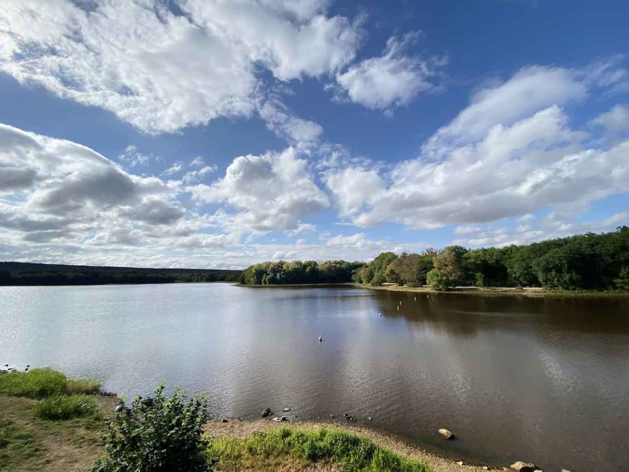 Lac de Paimpont entouré de végétation au cœur de Brocéliande