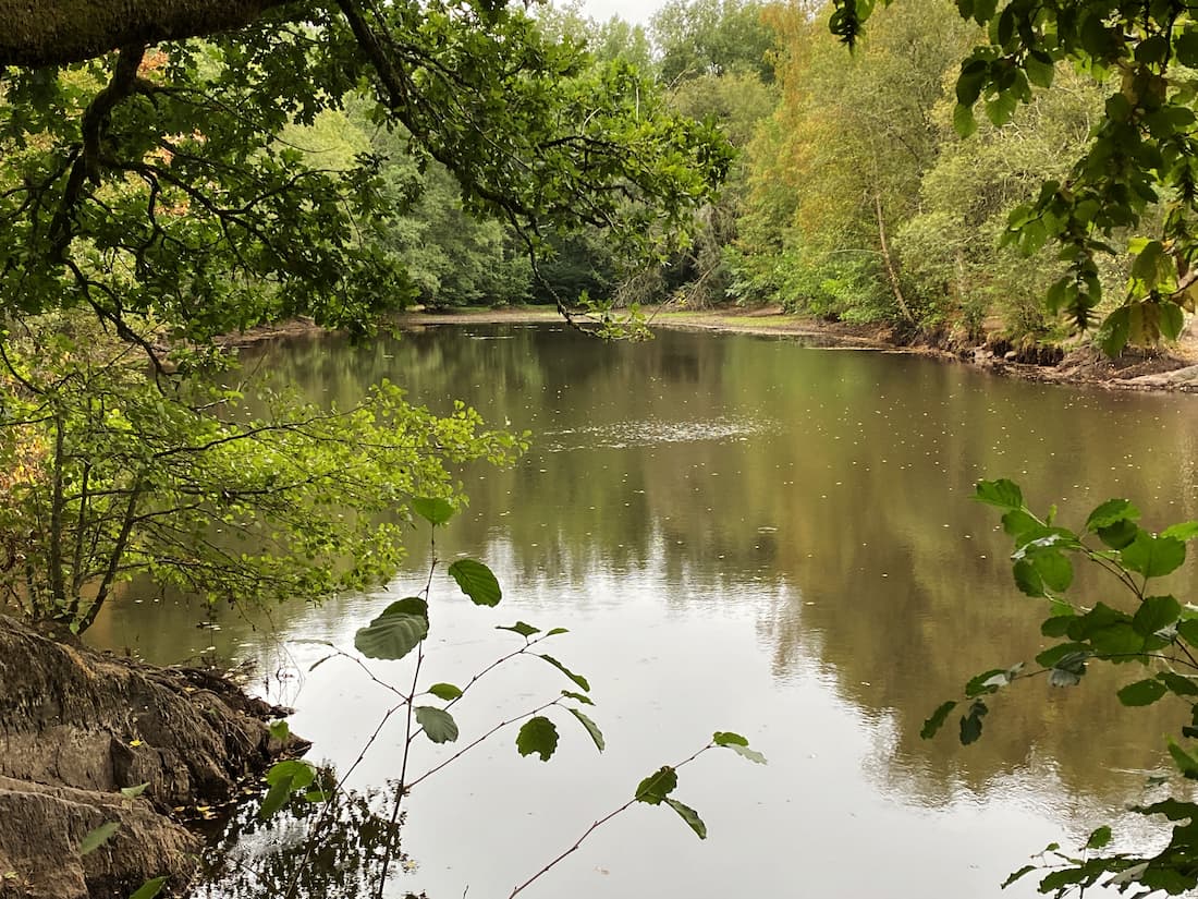 Miroir aux Fées, petit étang entouré de végétation dans le Val sans Retour