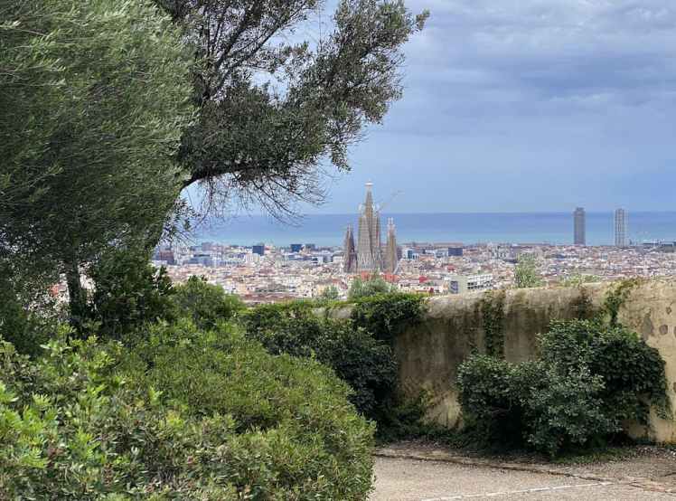 Vue sur la Sagrada Família depuis les hauteurs du parc Güell à Barcelone