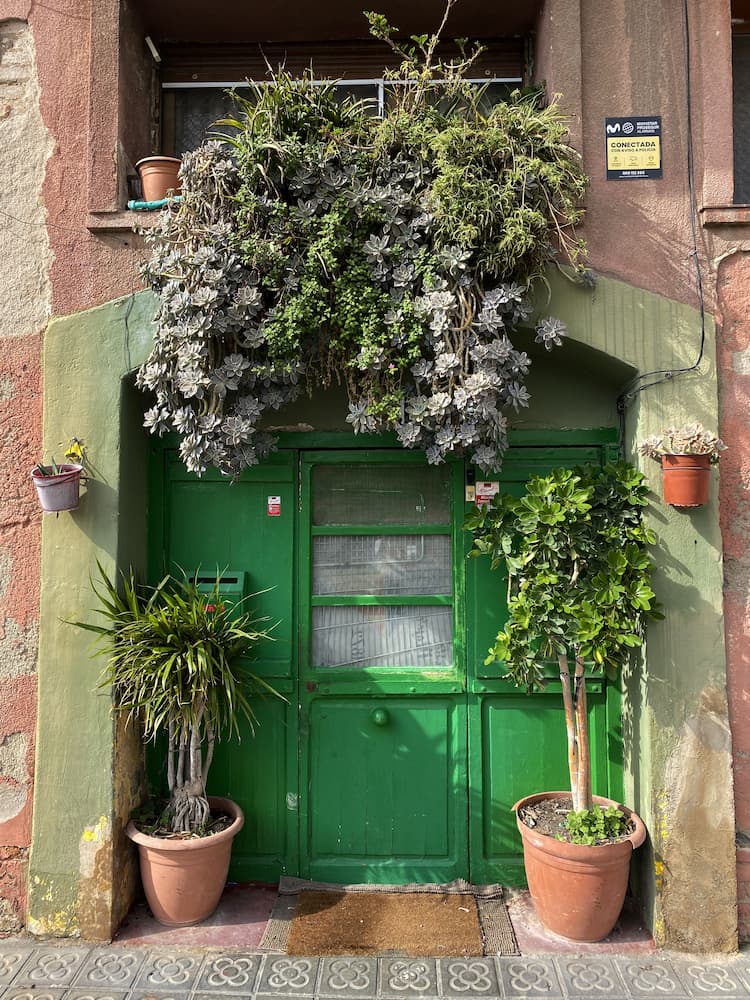 Plantes fleuries décorant une façade